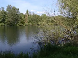 Oderpark-See (Hattorf)-1