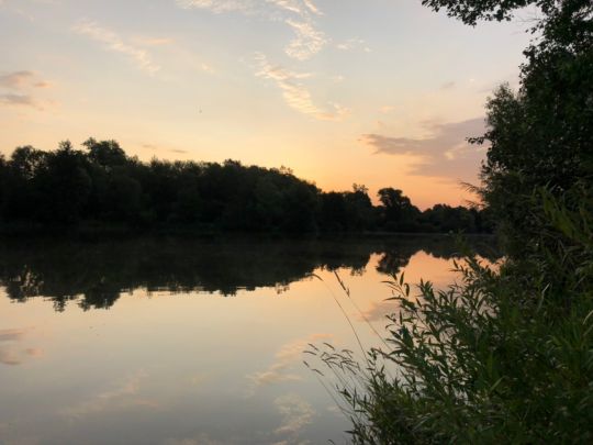 Oderpark-See (Hattorf)-4