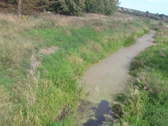 Randow (Löcknitz)-3