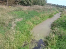 Randow (Löcknitz)-3