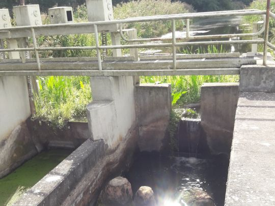 Randow (Löcknitz)-2