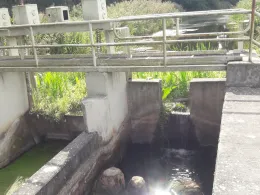 Randow (Löcknitz)-2