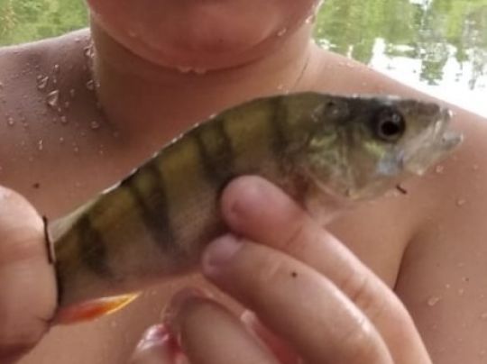 Kändler See (Friller See)-1