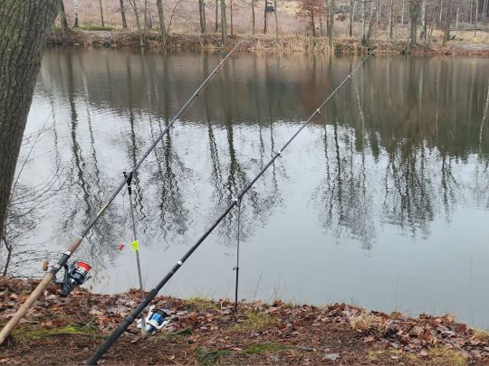 Engeleiteiche Dürrhennersdorf-2