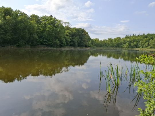 Chemnitzer See (Neubrandenburg)-3