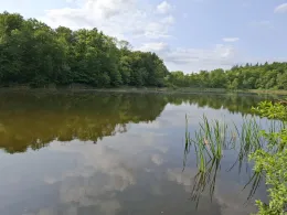 Chemnitzer See (Neubrandenburg)-3