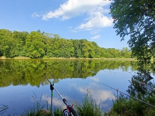 Chemnitzer See (Neubrandenburg)-1