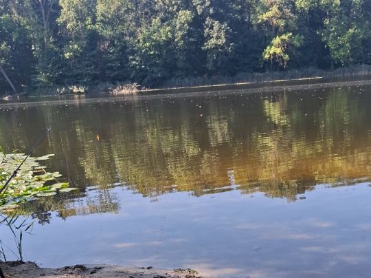 Chemnitzer See (Neubrandenburg)-2