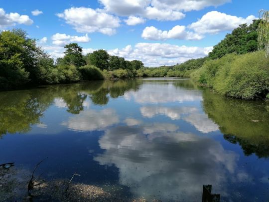 Rohrteichwiese (Altenhausen)