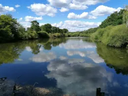 Rohrteichwiese (Altenhausen)