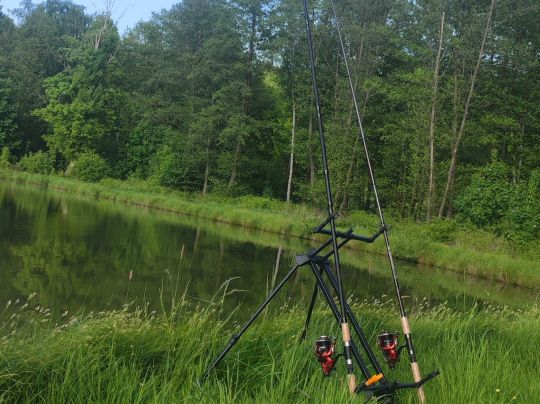 Wiesenteich (Ebersbach)-2