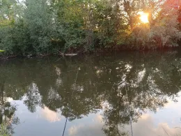 Schussen (Eriskirch)-2