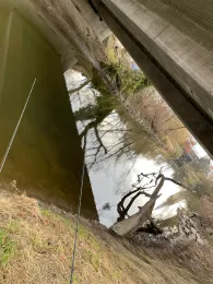 Schussen (Eriskirch)