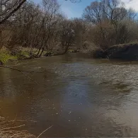 Schussen (Eriskirch)-1