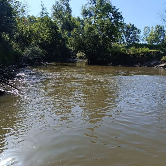 Schussen (Eriskirch)-4