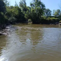 Schussen (Eriskirch)-4