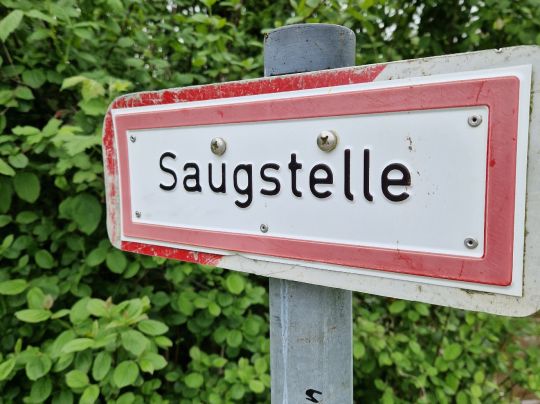 Schussen (Eriskirch)-3