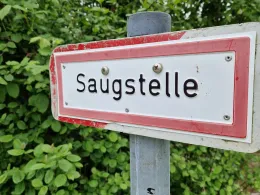 Schussen (Eriskirch)-3