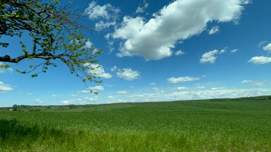 Mellensee (Boitzenburger Land)-1