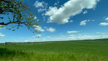 Mellensee (Boitzenburger Land)-1