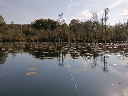 Mellensee (Boitzenburger Land)-4