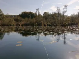 Mellensee (Boitzenburger Land)-4