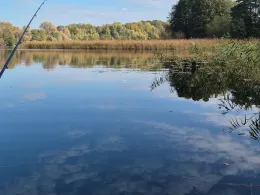 Mellensee (Boitzenburger Land)-3