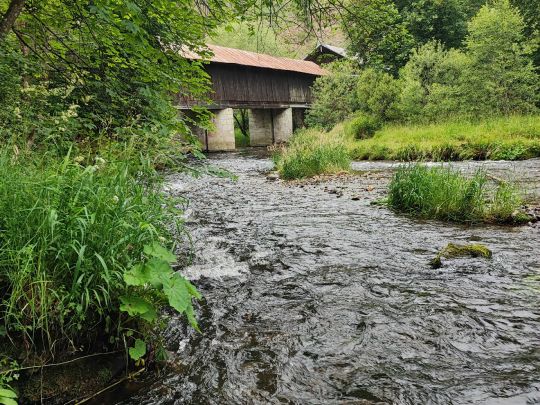 Großer Regen (Ludwigsthal)-1