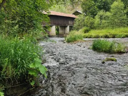 Großer Regen (Ludwigsthal)-1