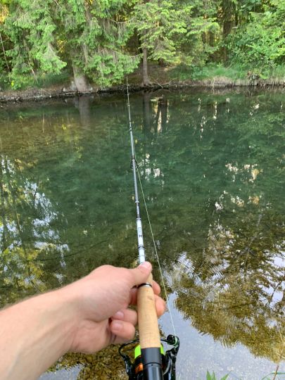 Forstinninger Sempt (Ottenhofen)