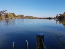 Hintere Höhe (Münchberg)-4