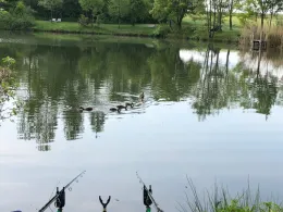 Hintere Höhe (Münchberg)