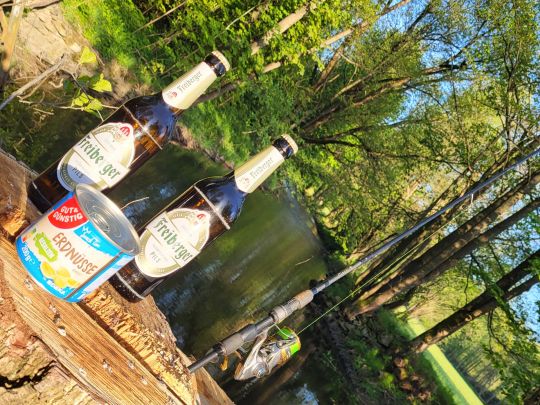 Freiberger Mulde (Lichtenberg/Erzgebirge)-1