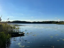 Nesselpfuhl (Lychen)