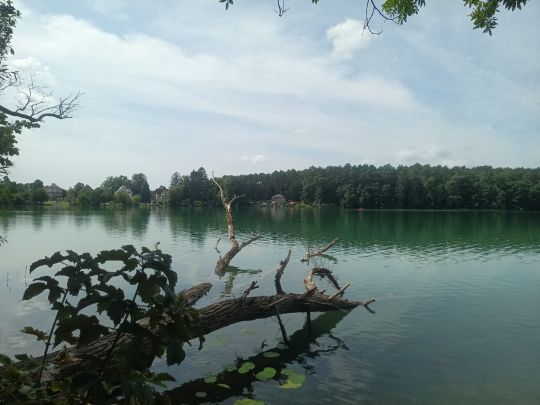 Nesselpfuhl (Lychen)-3