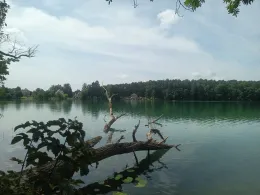 Nesselpfuhl (Lychen)-3