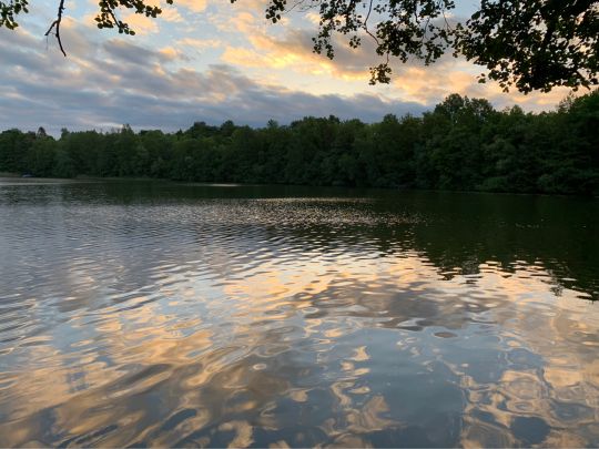 Bruchsee (Templin)-4