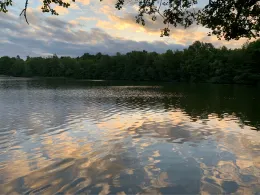 Bruchsee (Templin)-4