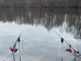 Bruchsee (Templin)-2