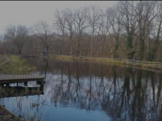 Garlstedter Fischzucht-4