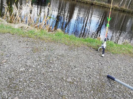 Garlstedter Fischzucht-3