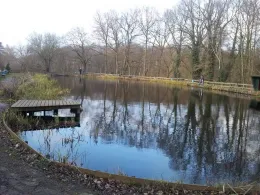 Garlstedter Fischzucht-2