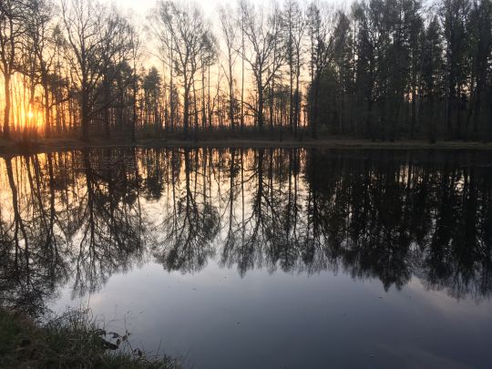 Schwarzer Teich (Freiberg) ALLE ANGELN