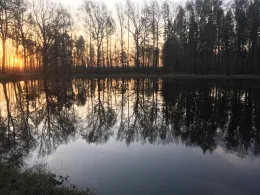 Schwarzer Teich (Freiberg)-2