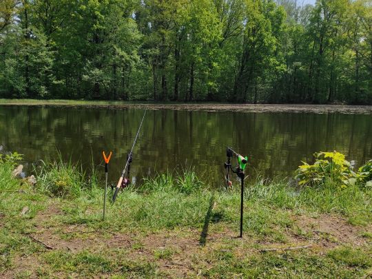 Schwarzer Teich (Freiberg)