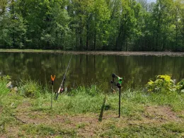 Schwarzer Teich (Freiberg)