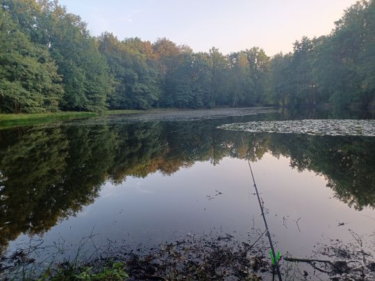 Schwarzer Teich (Freiberg) ALLE ANGELN