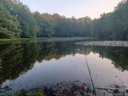 Schwarzer Teich (Freiberg)-1