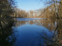 Schwarzer Teich (Freiberg)-4