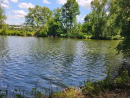 Neckar (Unterensingen)-1